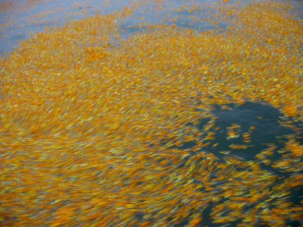 images/img_4178_big.jpg